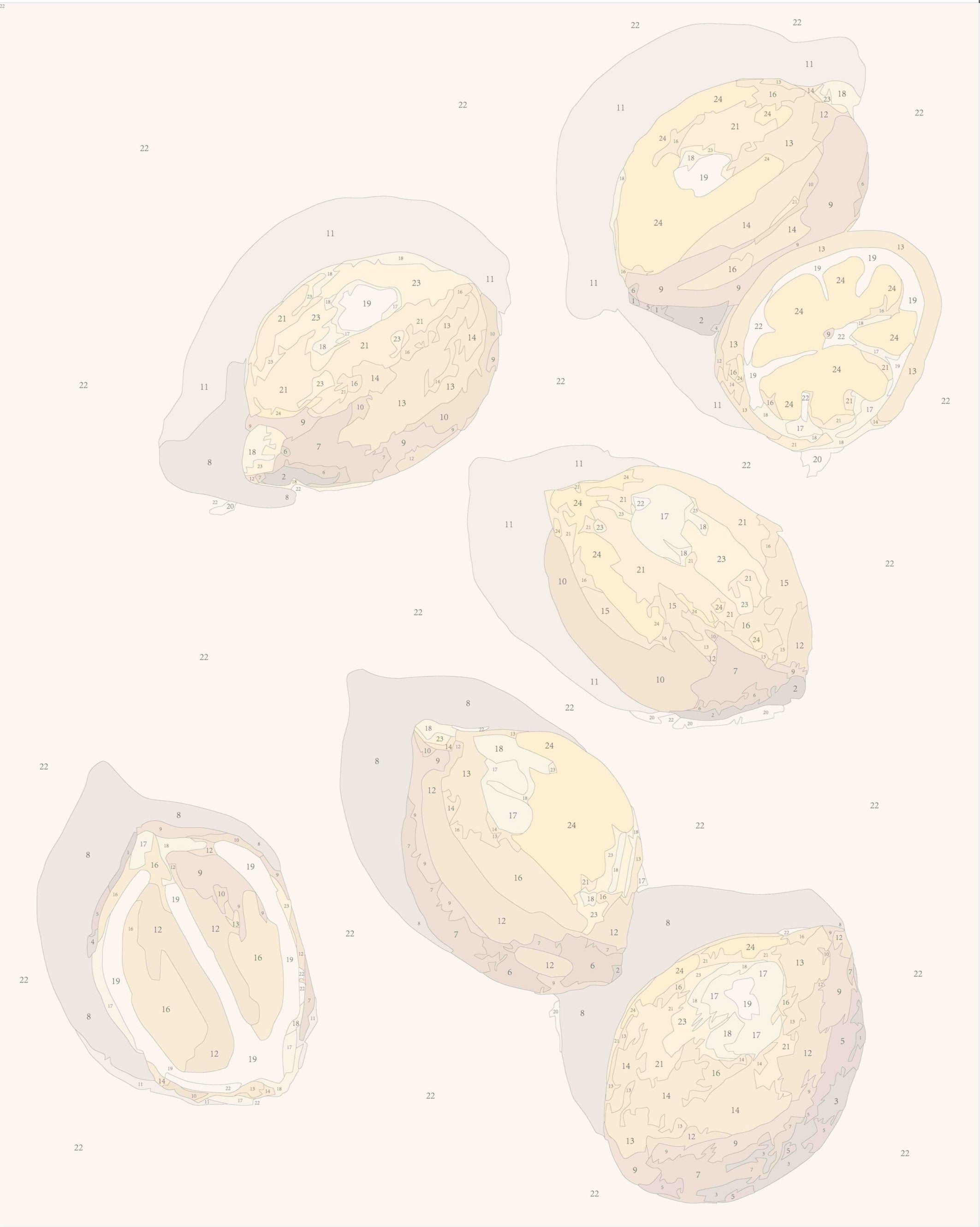 Pastel Lemons